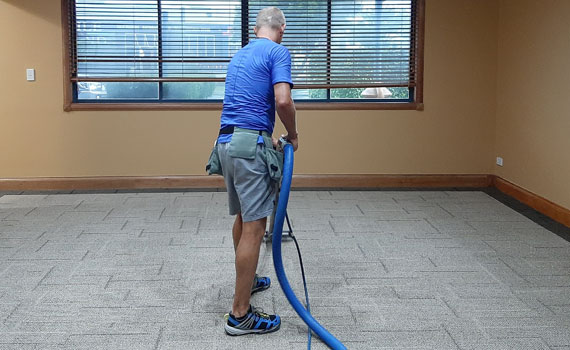 Carpet Cleaning Tweed Coast | Steam Clean Power | Crikey Cleaner Services