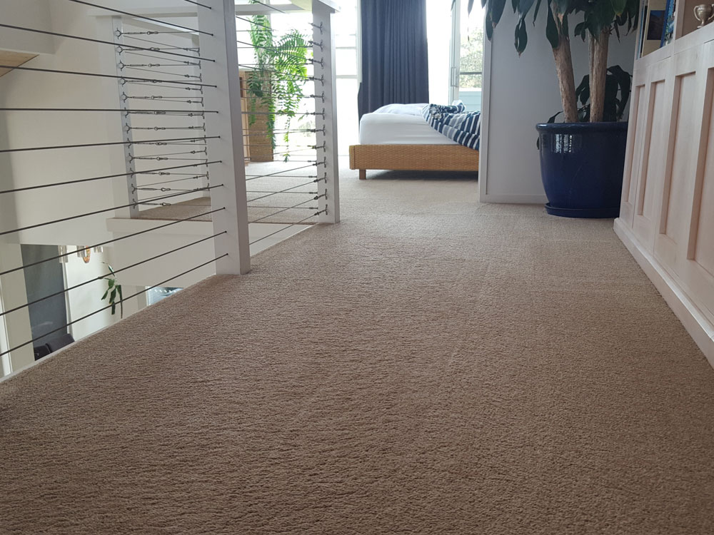 Tenancy Carpet Cleaning Service | Crikey Cleaner Tweed Coast